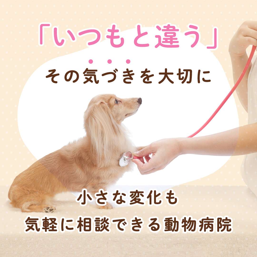 popup_banner