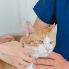 定期検診